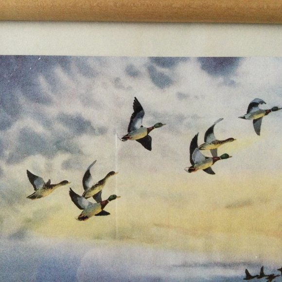 Small art print pencil signed titled framed T. Eaton Co Canada goose flying - Picture 4 of 7